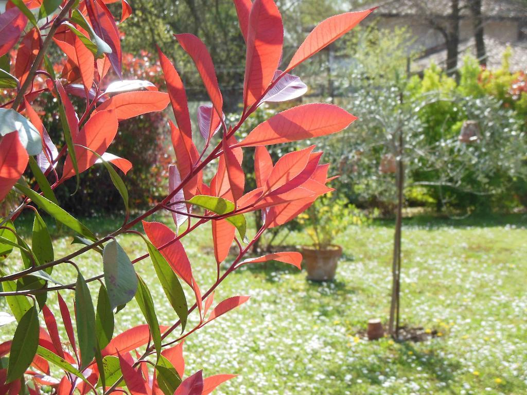 Bed and Breakfast Al Pic De Corone à Terzo d' Aquileia Extérieur photo