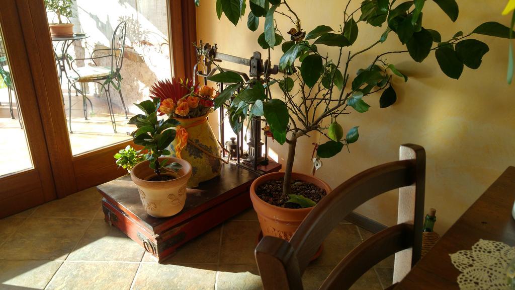 Bed and Breakfast Al Pic De Corone à Terzo d' Aquileia Extérieur photo