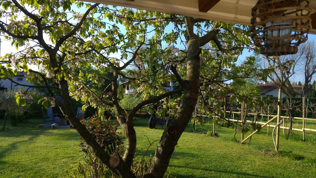 Bed and Breakfast Al Pic De Corone à Terzo d' Aquileia Extérieur photo