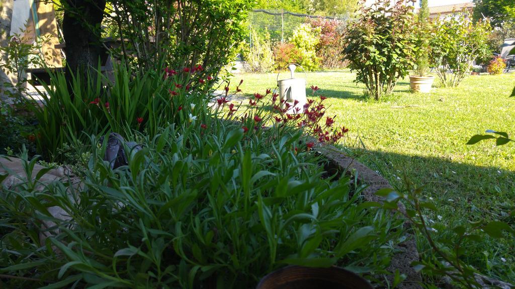 Bed and Breakfast Al Pic De Corone à Terzo d' Aquileia Extérieur photo