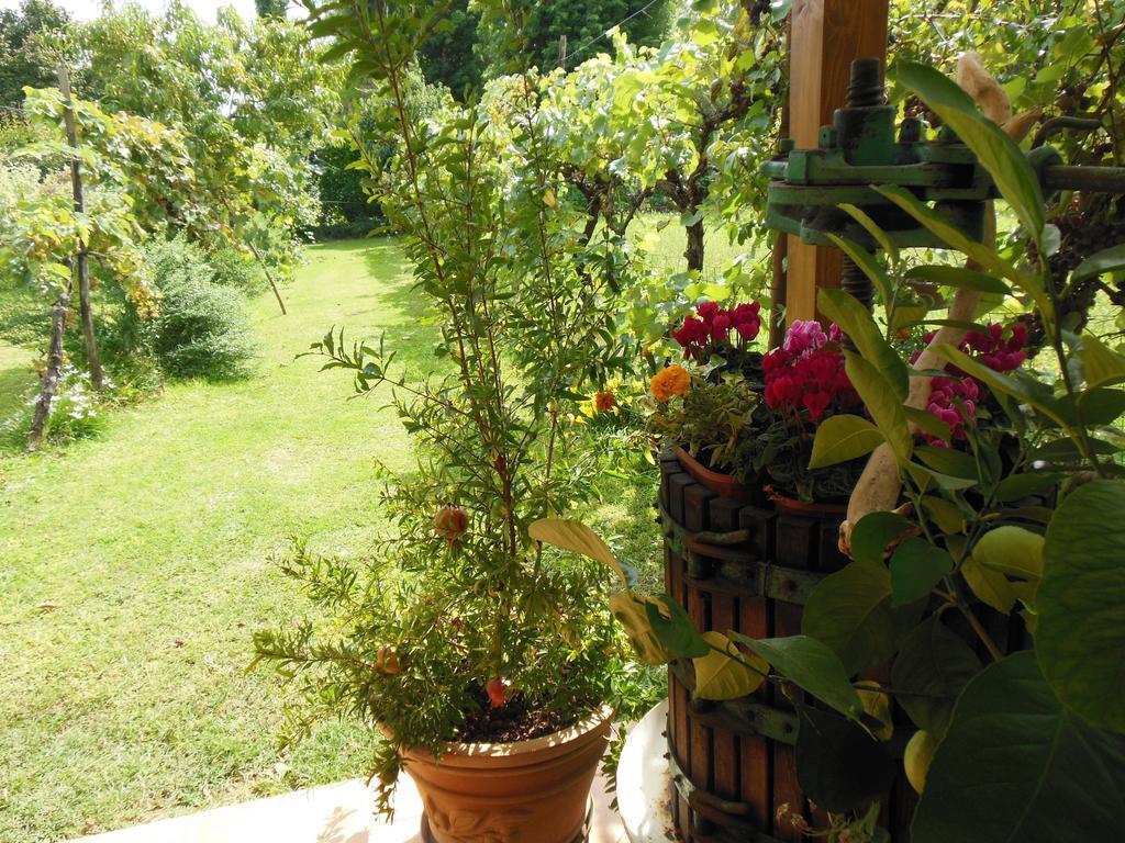 Bed and Breakfast Al Pic De Corone à Terzo d' Aquileia Extérieur photo